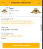 Ekran Alıntısı1.PNG
