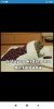 Screenshot_2020-12-15-00-16-53-812_com.android.chrome.jpg