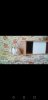 Screenshot_20210109-134053.jpg