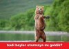 images (8).jpeg