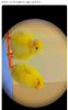 resim_2021-09-13_032302.png