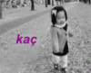 kacc.gif