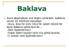 images (1).png