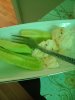 IMG_20220808_191201.jpg