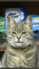 36B18F47-21E5-433C-9223-060AEEE511FF.png
