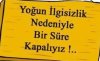 IMG_20240603_023301.jpg
