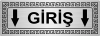 girişşşş.png