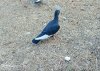IMG_20250805_173734_445.jpg